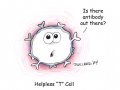 jw-tcell.jpg